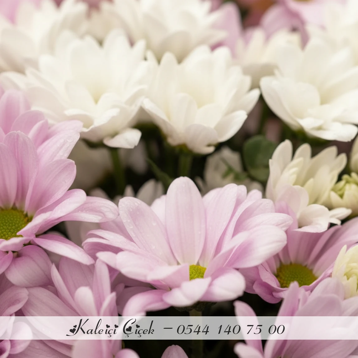 Papatyalarla Zarif Mutluluk Buketi