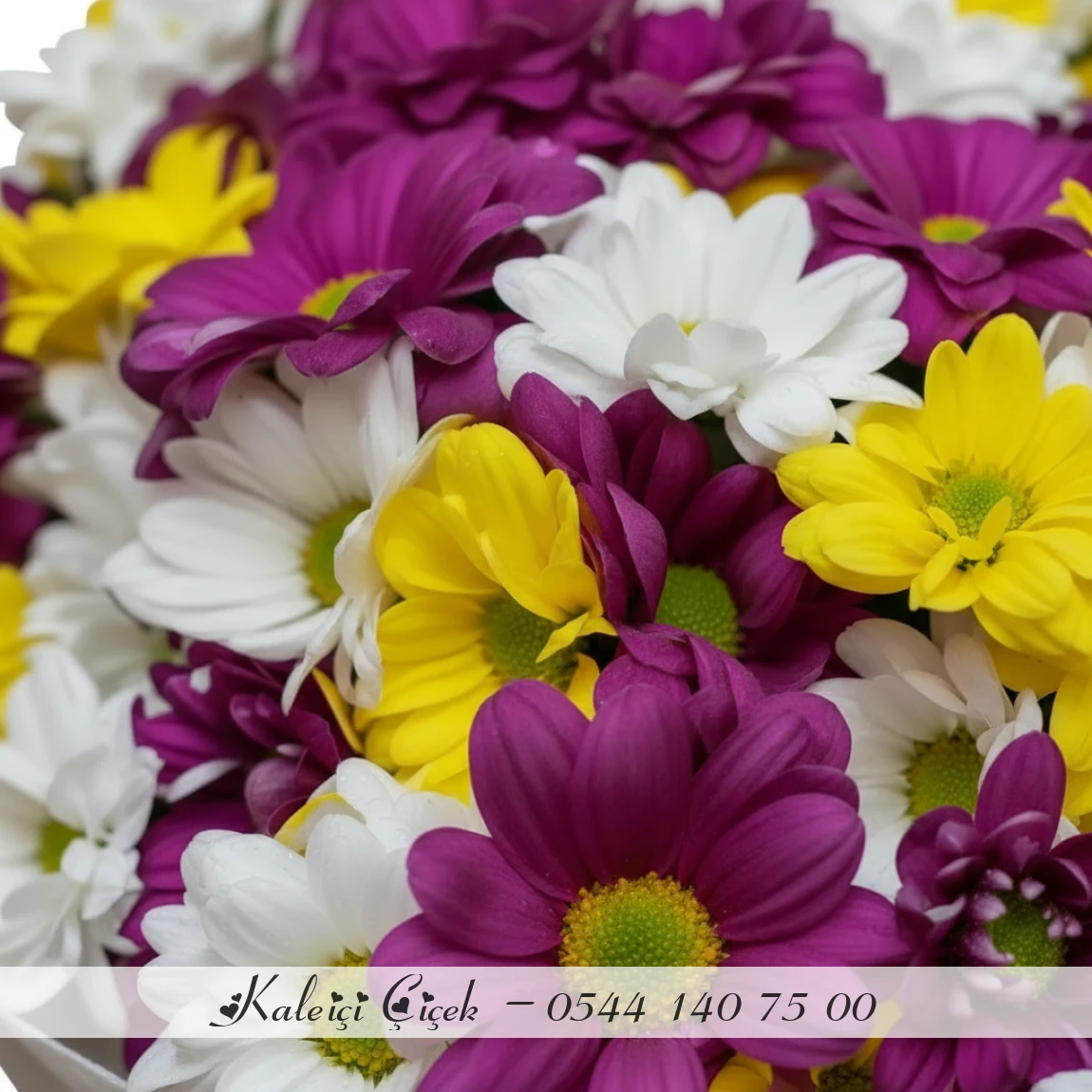 Rengarenk Papatya Buketi