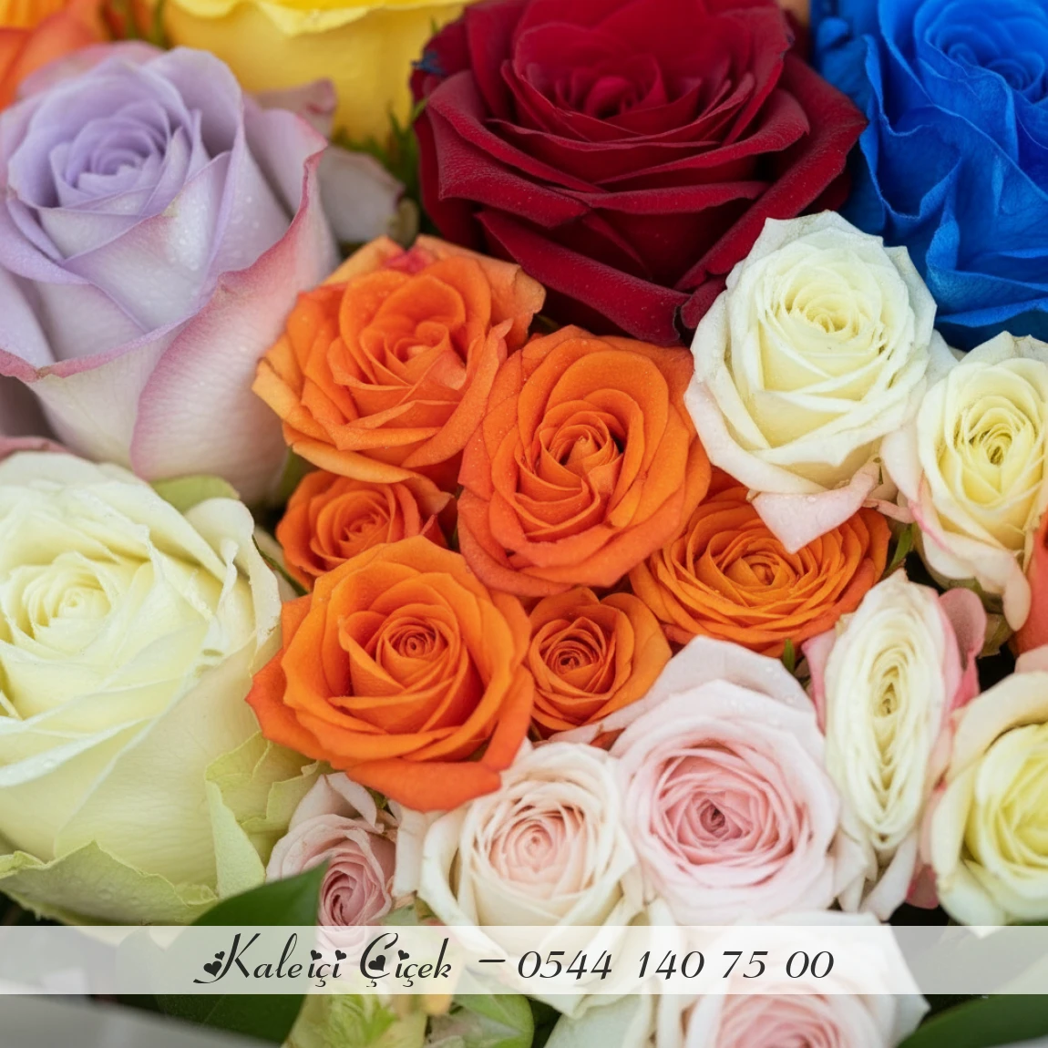 Renklerin Uyumu Mevsim Gülleri