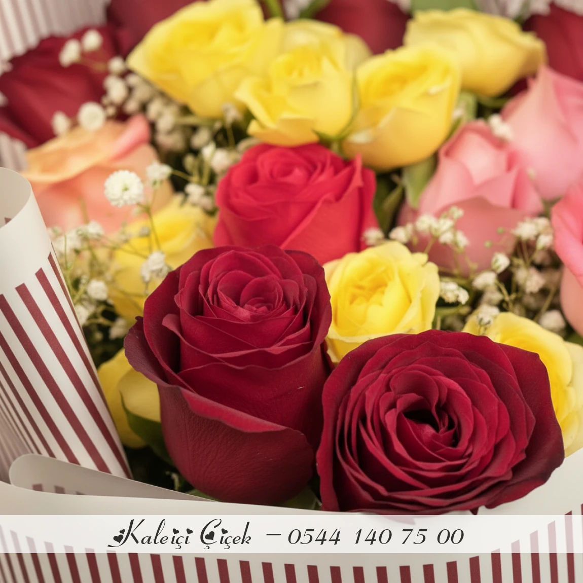 Karışık Renkli Gül