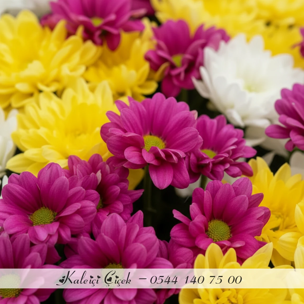 Renkli Neşe – Papatya Buketi