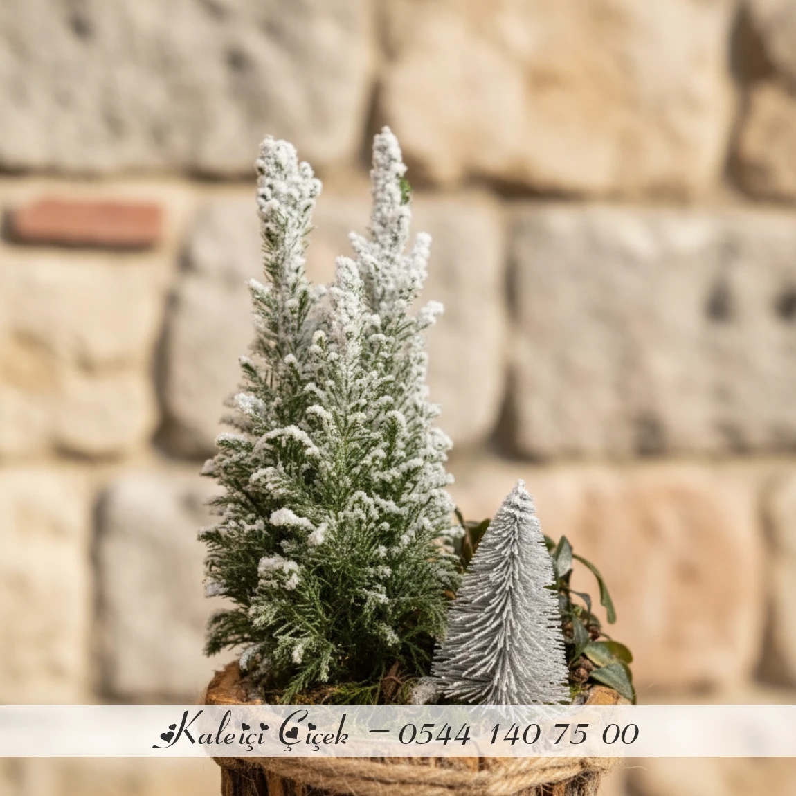 Rustik Mini Ağaç