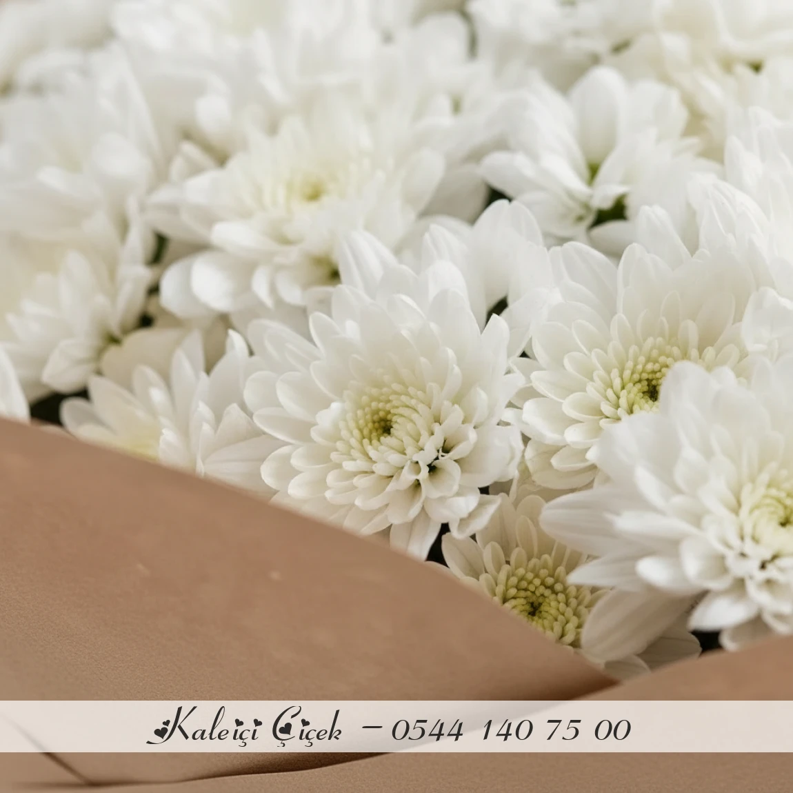 Saf Zarafet – Beyaz Krizantem Buketi