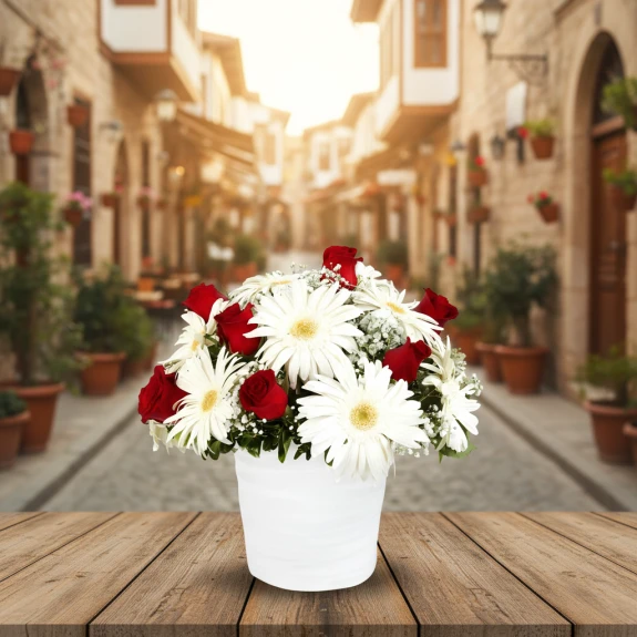 Saksıda Güller Ve Gerberalar