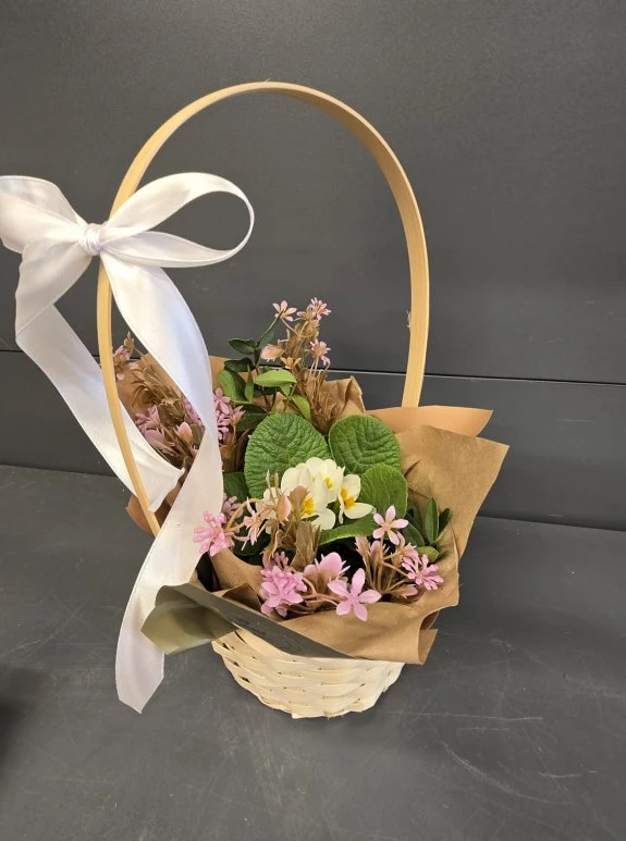 Sepette Bahar Çiçeği Orta Boy