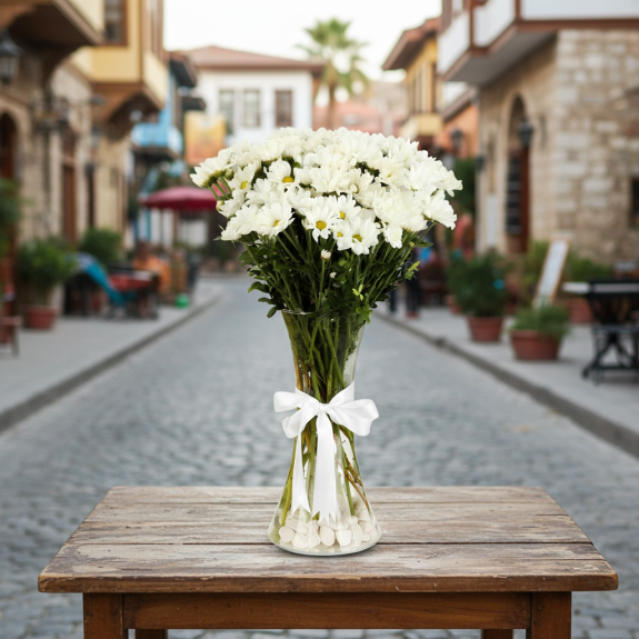 Vazoda İthal Papatya Krizantem