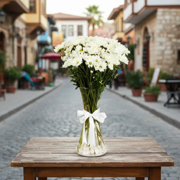 Vazoda İthal Papatya Krizantem