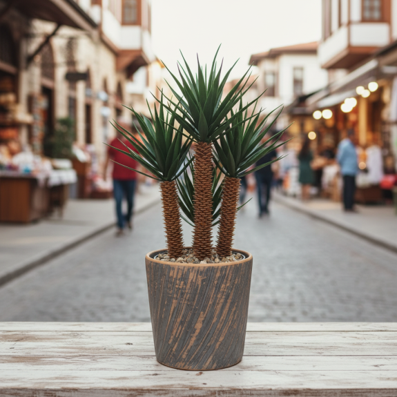 Yapay Mi̇ni̇ Yukka Ağaci Serami̇k Saksili
