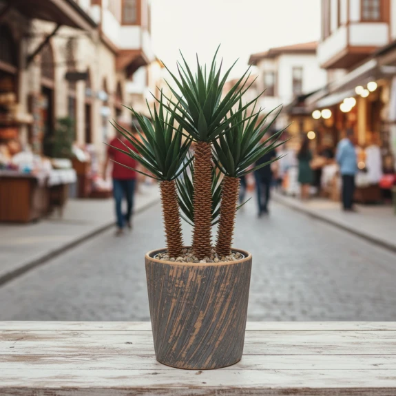 Yapay Mi̇ni̇ Yukka Ağaci Serami̇k Saksili
