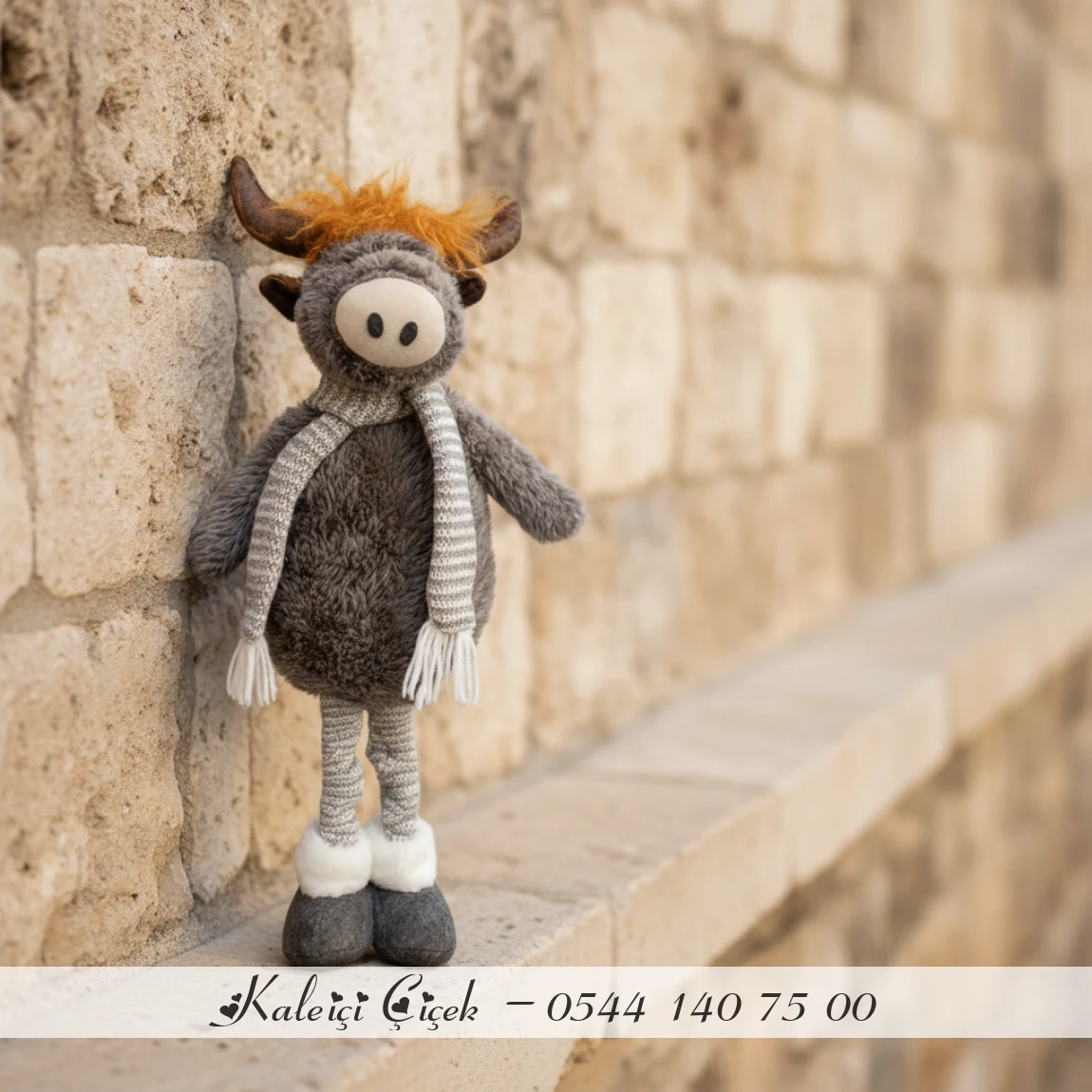 Uzun Bacaklı Oyuncak