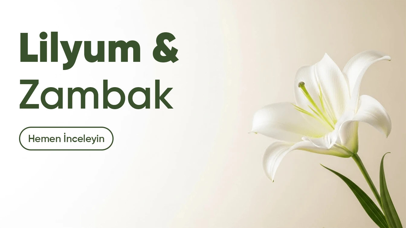 Sliders - Kaleiçi Çiçek