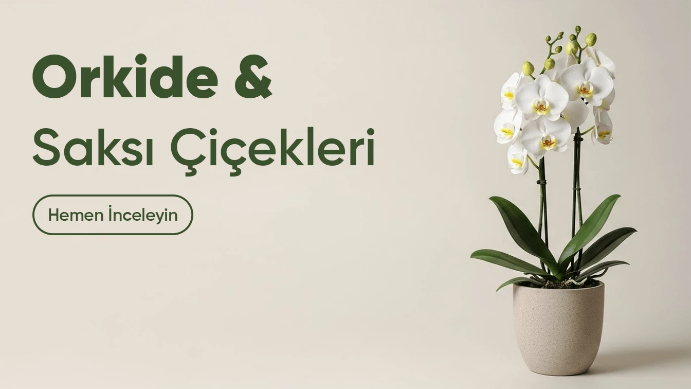 Sliders - Kaleiçi Çiçek