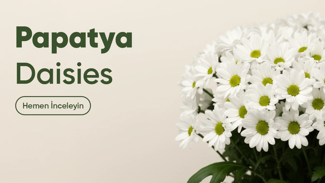 Sliders - Kaleiçi Çiçek