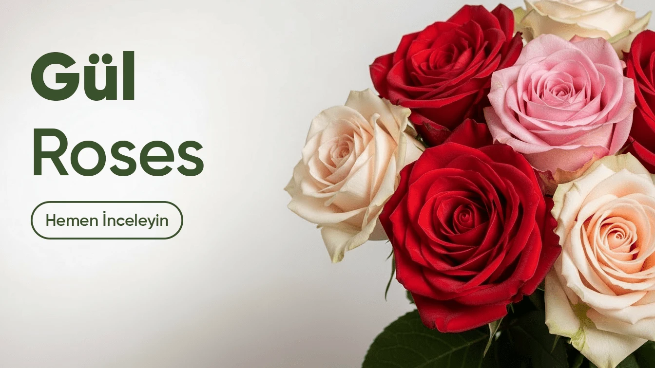 Sliders - Kaleiçi Çiçek